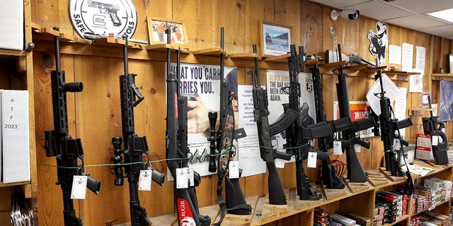 Firearms are sold in gun store
