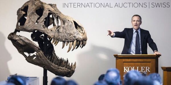 T. rex skeleton sells for over $5M at Swiss auction