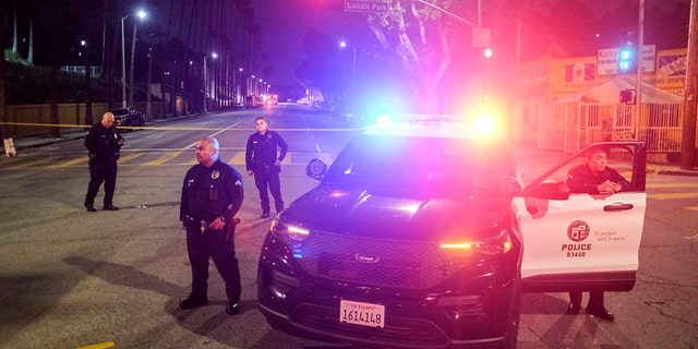 Police officers and an LAPD vehicle
