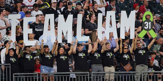 The White Sox crowd holds a Liam Hendriks sign
