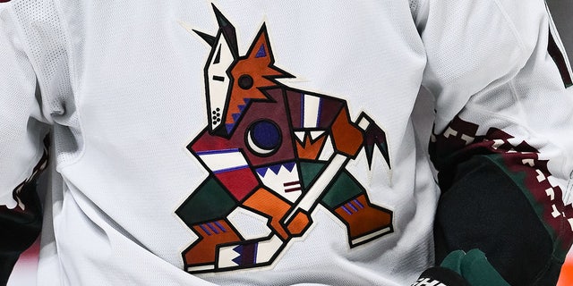 View of an Arizona Coyotes jersey