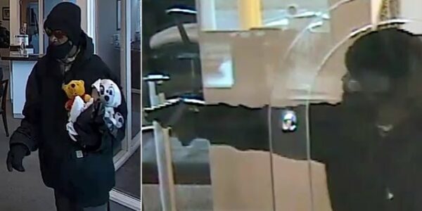 FBI offering reward for Chicago armed bank robber known as ‘Stuffed Bear Bandit’