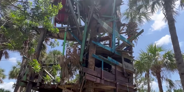 squatters' treehouse on Florida island