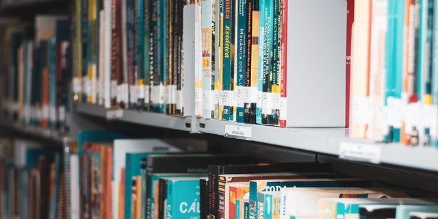 Library book shelves