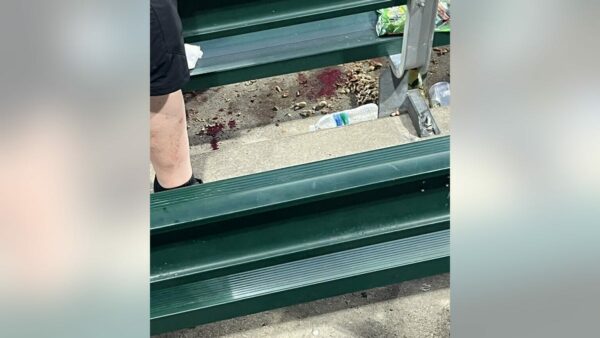 Chicago police ‘almost completely dispelled’ shooting at White Sox game came from outside stadium