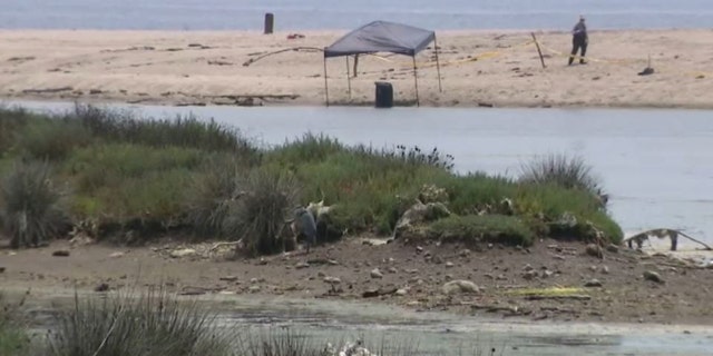 barrel under investigation at lagoon