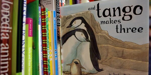 FL school district reverses decision to restrict book about gay penguin couple