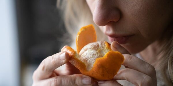 Loss of smell could be warning sign for future Alzheimer’s disease, researchers say