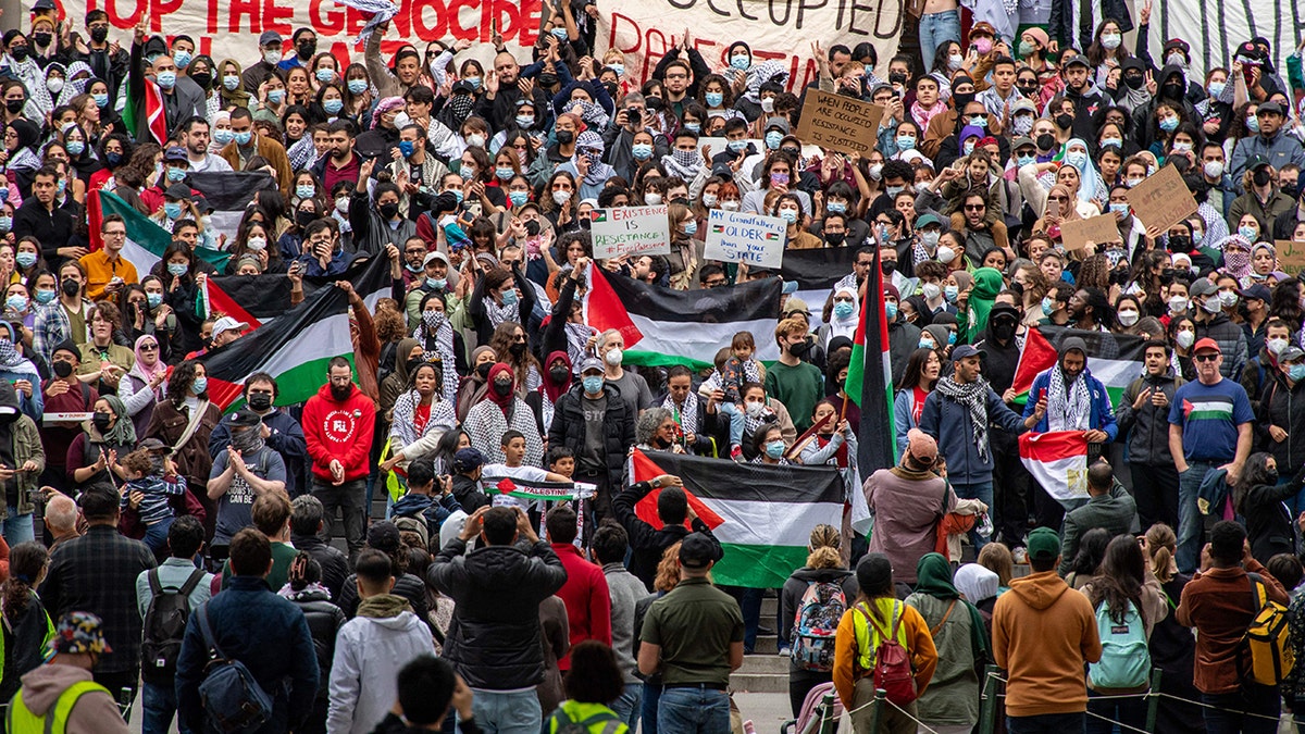 Harvard pro Palestinian protest
