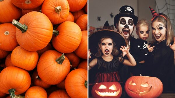 Halloween quiz! How much do you know about the festive fall holiday?