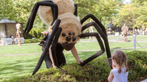 Botanical gardens, zoos ramp up Halloween preparations as outdoor celebrations become more popular among kids