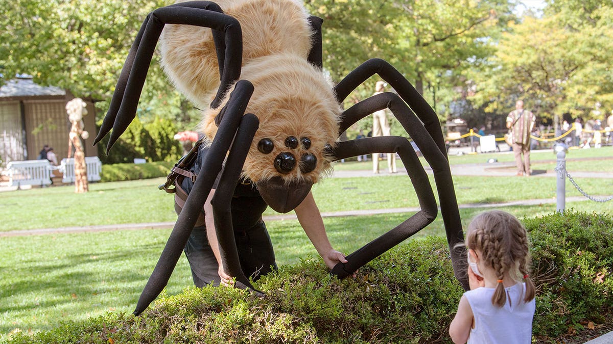 man in spider costume near child