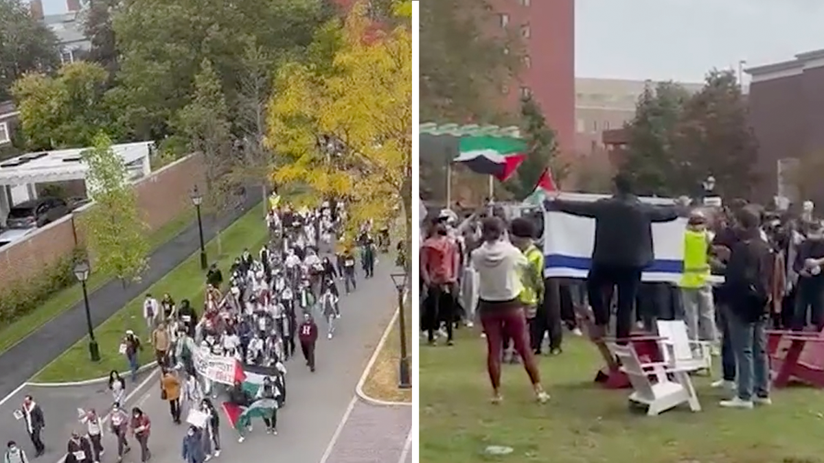 Protestors gather at Harvard University to slam Israel's "genocide" of Palestinians