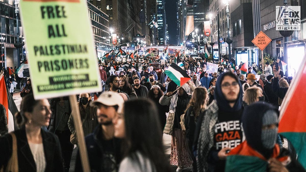 Pro-Palestinian protest in NYC
