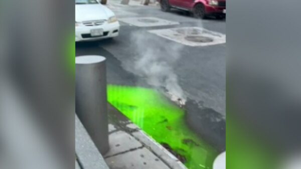 New Yorkers freak out after mysterious green ‘slime’ oozes onto street: ‘Ninja Turtles’