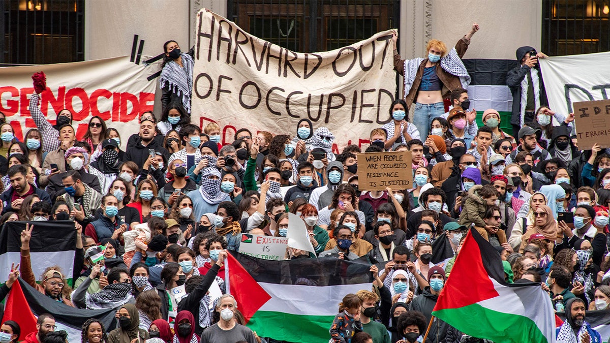 Supporters of Palestinians at Harvard University