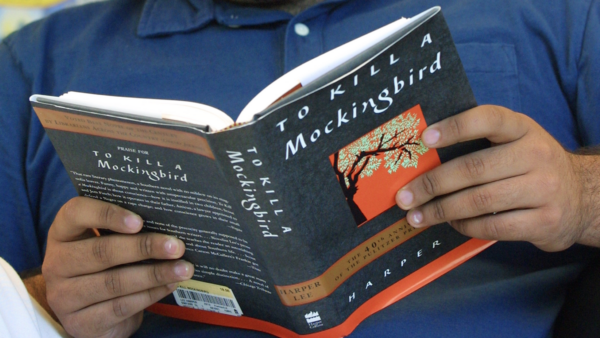Progressive teachers try to ‘prohibit’ ‘To Kill a Mockingbird’ in classrooms: ‘Is this a book ban?’