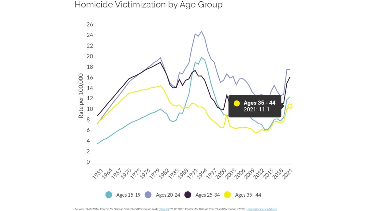 Homicide victimization by age group graph