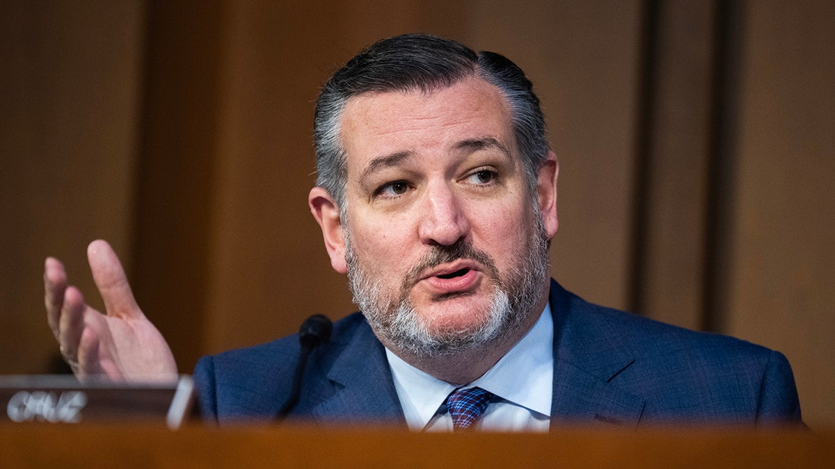 Sen. Ted Cruz, R-Texas, during Senate hearing