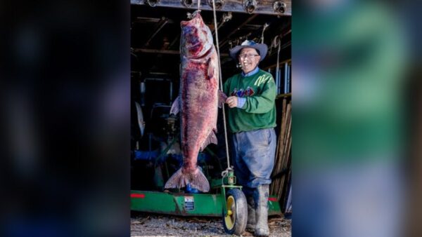 Missouri angler breaks world record after catching 97-pound bighead carp