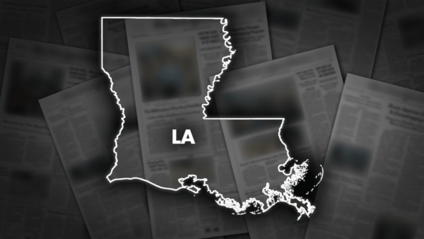 McNeese State EVP is named Louisiana school’s next president