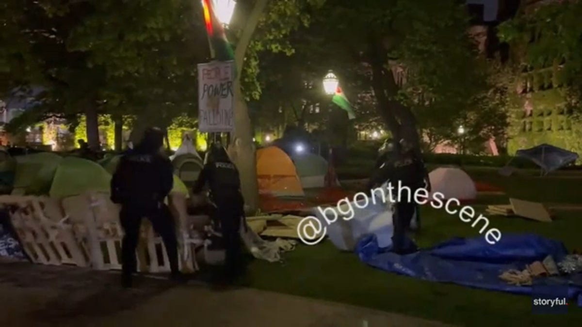 Police in Chicago break up anti-Israel encampment