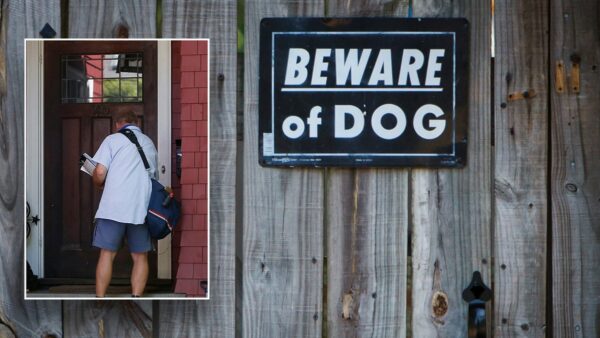 California and Texas top list of most dog attacks on Postal Service workers in 2023