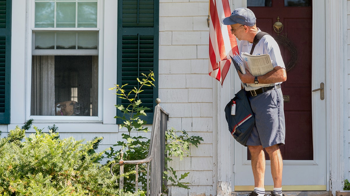 Postal worker delivering mail with angry dog in window